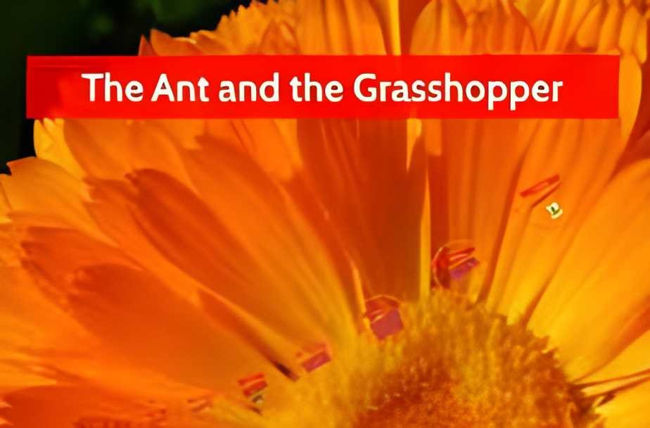 The Dynamic Duo : ANT and Grasshopper Revolutionizing Design and Analysis