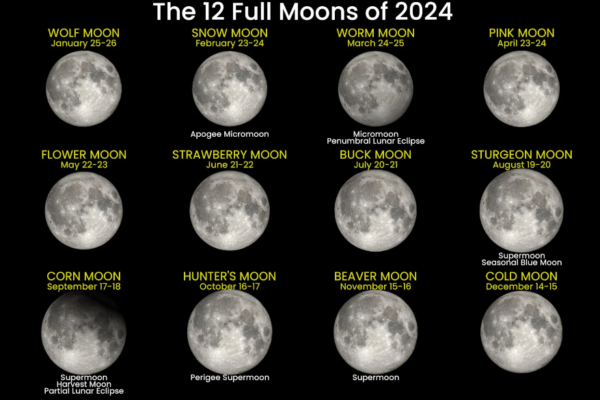 Strawberry Moon 2024: When is the next lunar eclipse? June has in store for us a delightful treat