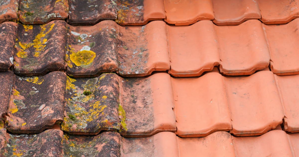 Best Roof Cleaning Company in Charlotte