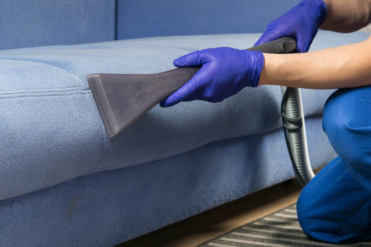 High-Quality Carpet Cleaning Services in Mortdale