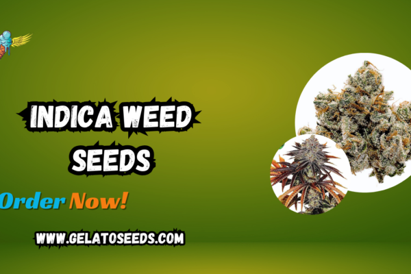 Indica weed seeds