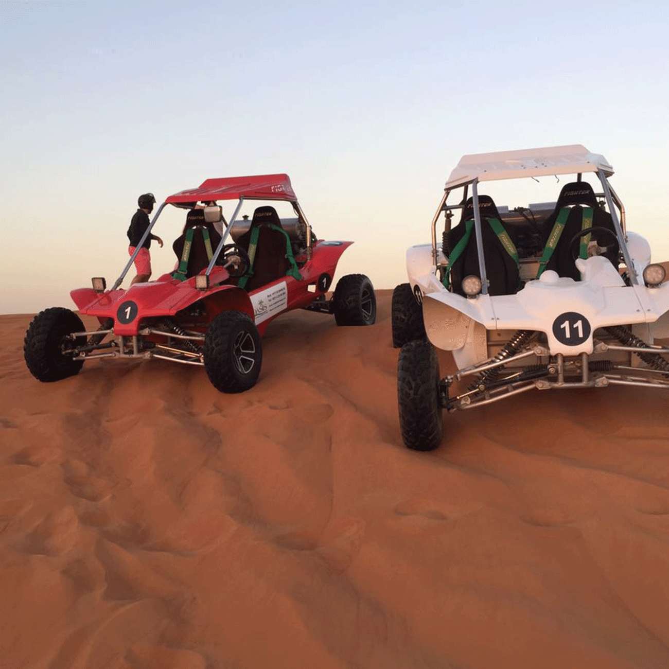 Morning Safari with Dune Buggy in 2024