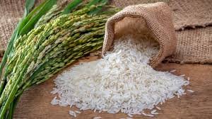 Pakistan’s rice exports