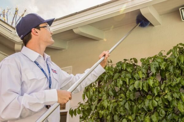 Pest Control in Lahore and Guide Pest Control Services Lahore