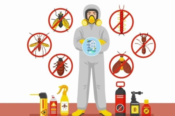 Pest Control Services in Lahore: Effective Termite Treatment