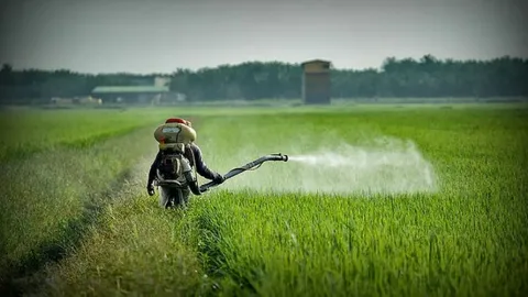 Pesticide control services in lahore