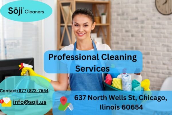 Professional Cleaning Services