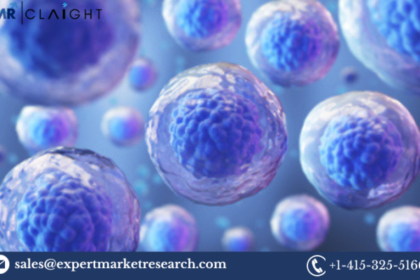 Stem Cell Assay Market