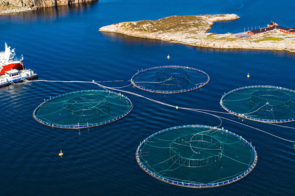 Sustainable Aquaculture