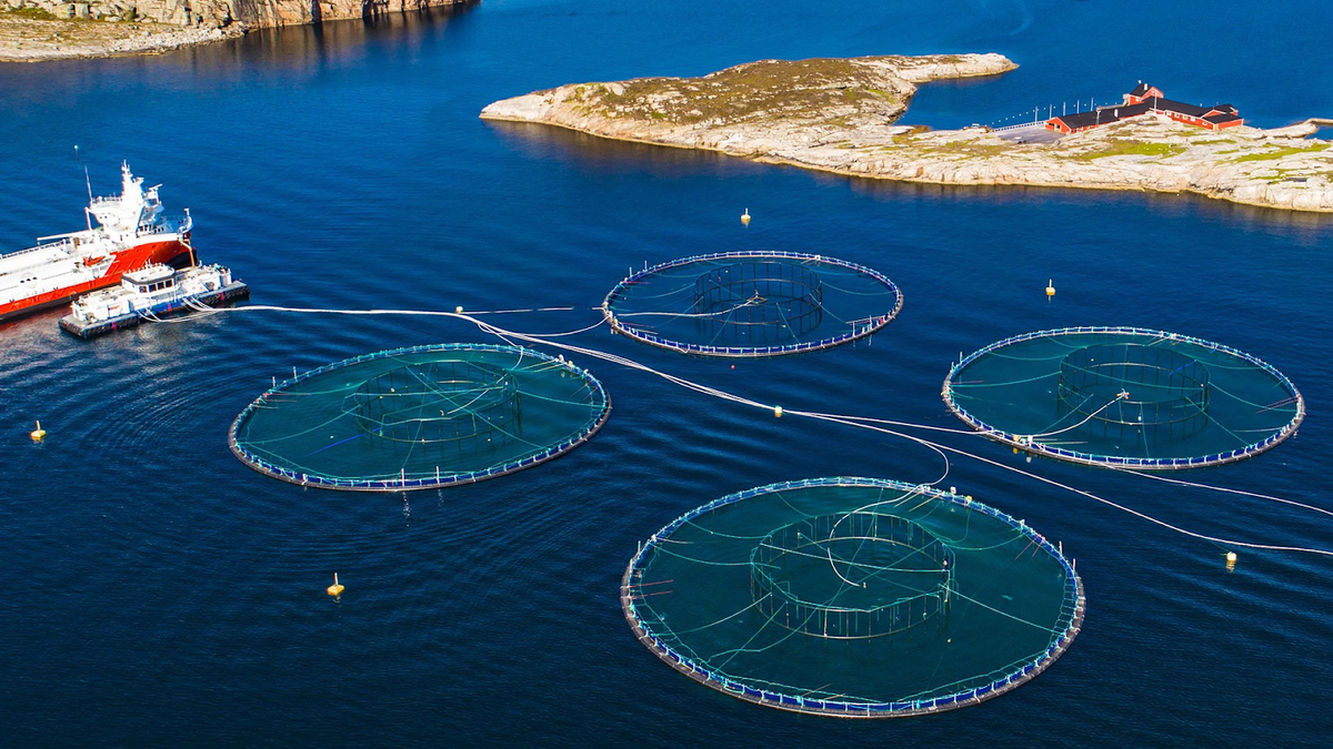 Sustainable Aquaculture