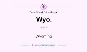 wyo meaning in text