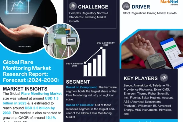 Flare Monitoring Market