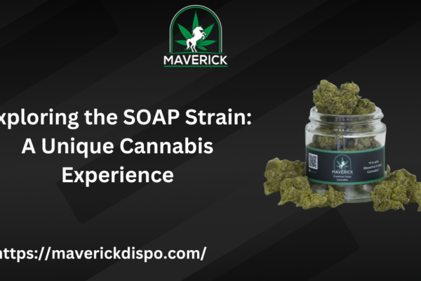 SOAP Strain