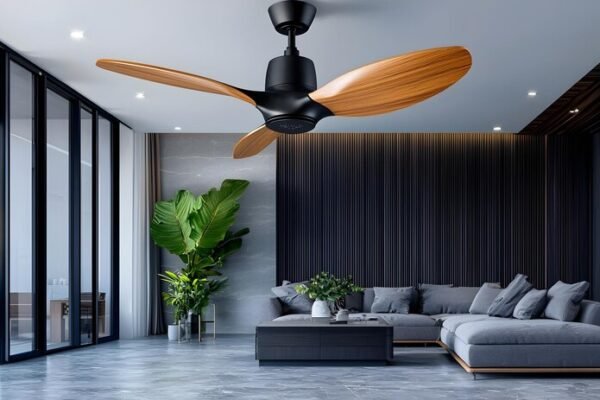 Ceiling Fan