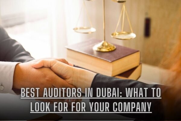 Leading Auditors in Dubai