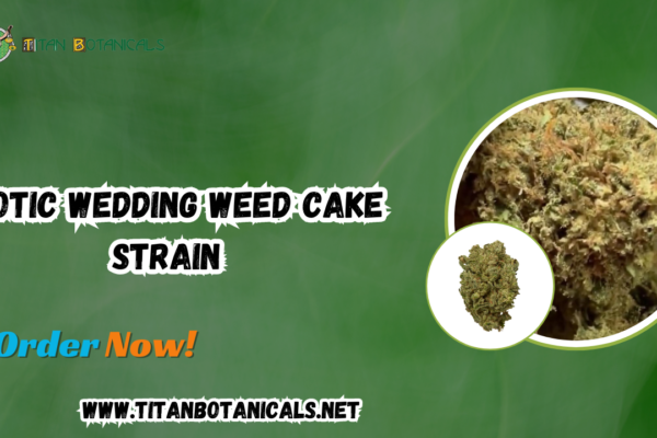 Exotic Wedding Weed Cake Strain