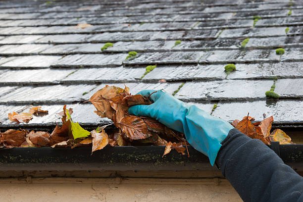 gutter cleaning pawleys island sc