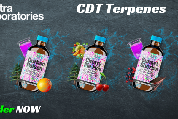 CDT Terpenes