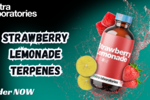 Strawberry Lemonade Terpenes