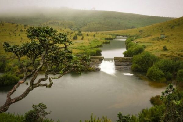 Horton Plains National Park