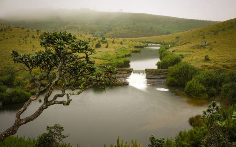 Horton Plains National Park