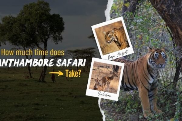 Ranthambore Safari,safari zones, Ranthambore booking 