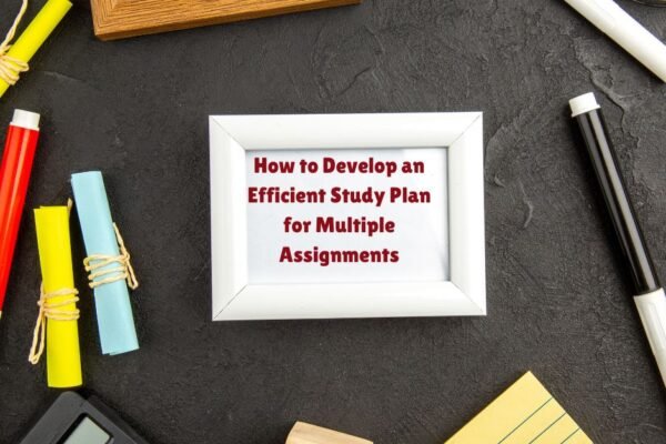 How to Develop an Efficient Study Plan for Multiple Assignments