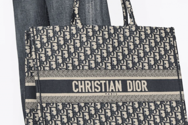 christian dior mens bag