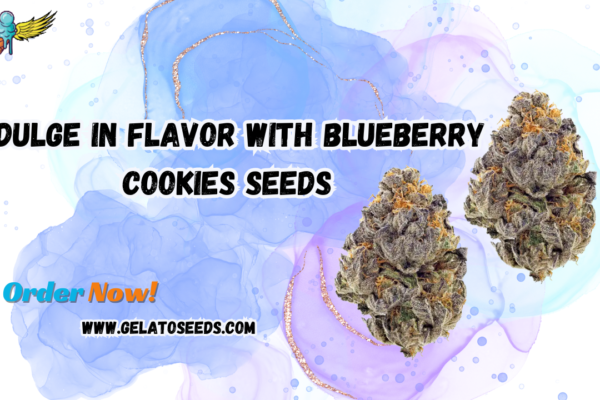 blueberry cookies seeds