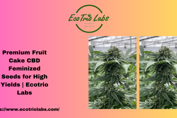 Fruit Cake CBD Feminized Seeds