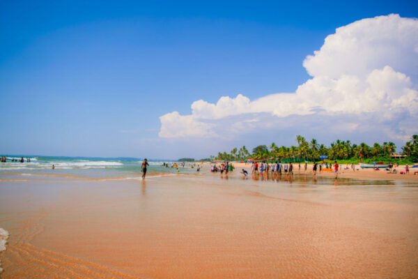 Things to do in goa