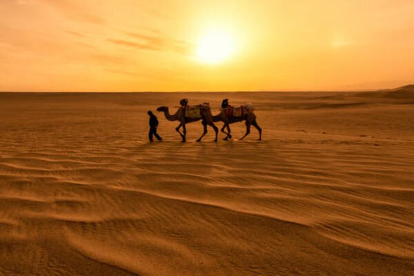 Desert Safari in Dubai