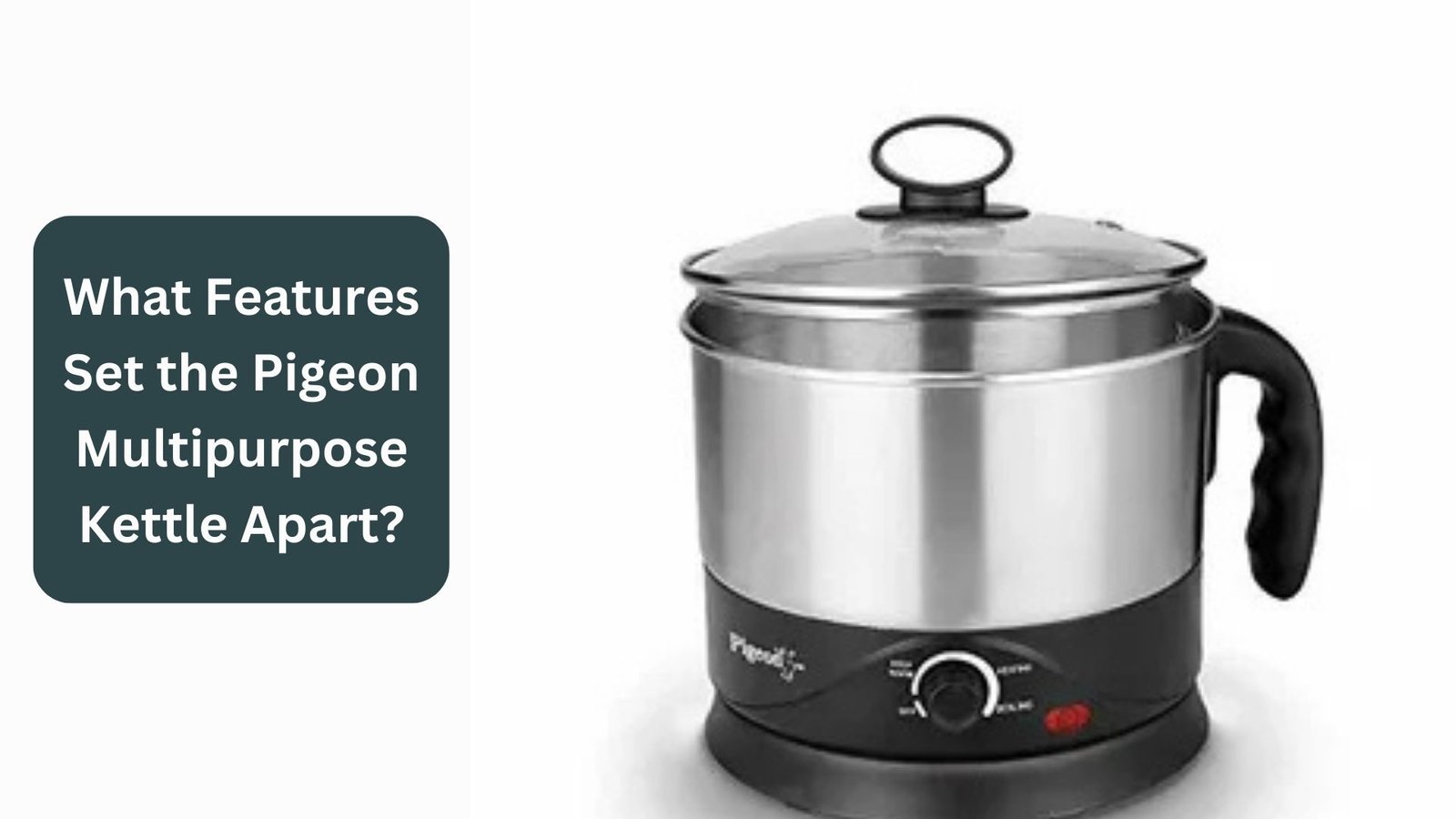 What Features Set the Pigeon Multipurpose Kettle Apart