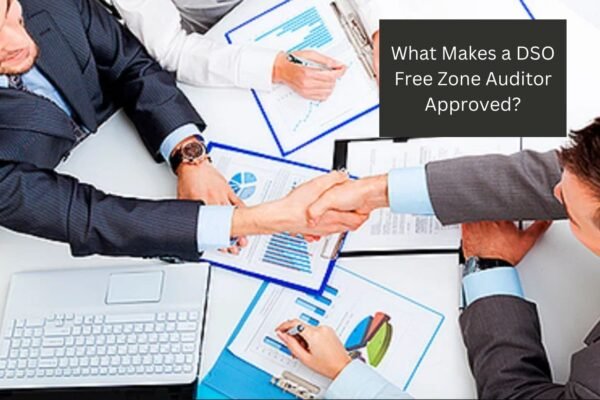 What Makes a DSO Free Zone Auditor Approved