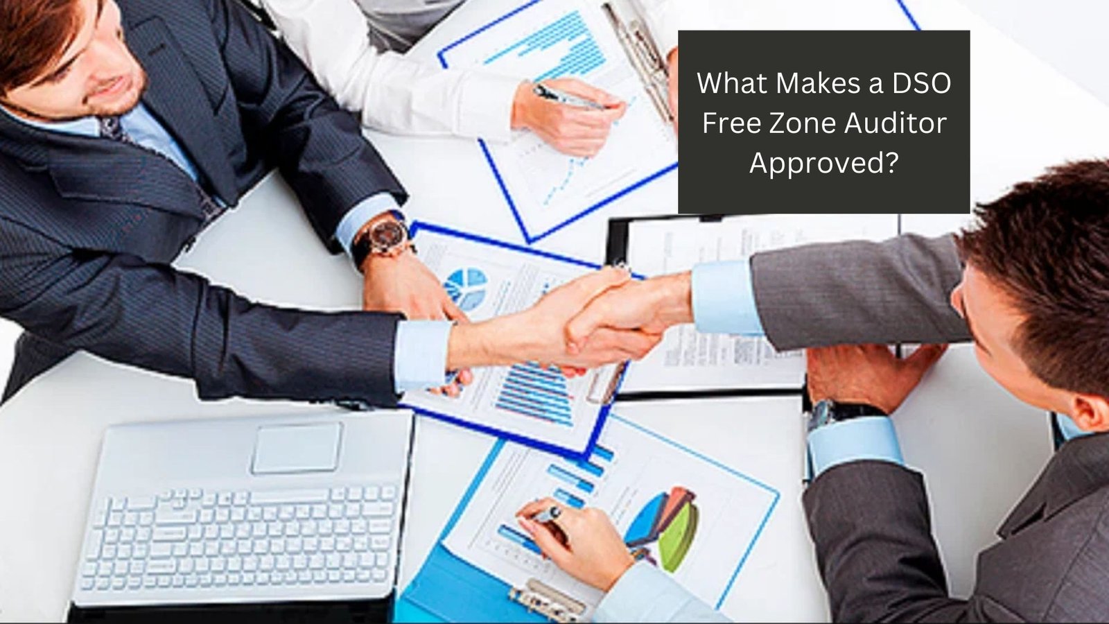 What Makes a DSO Free Zone Auditor Approved