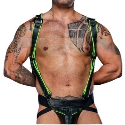 Why Every Man Needs Quality Leather Harness?