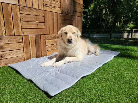 Zonli Dog Cooling Mat