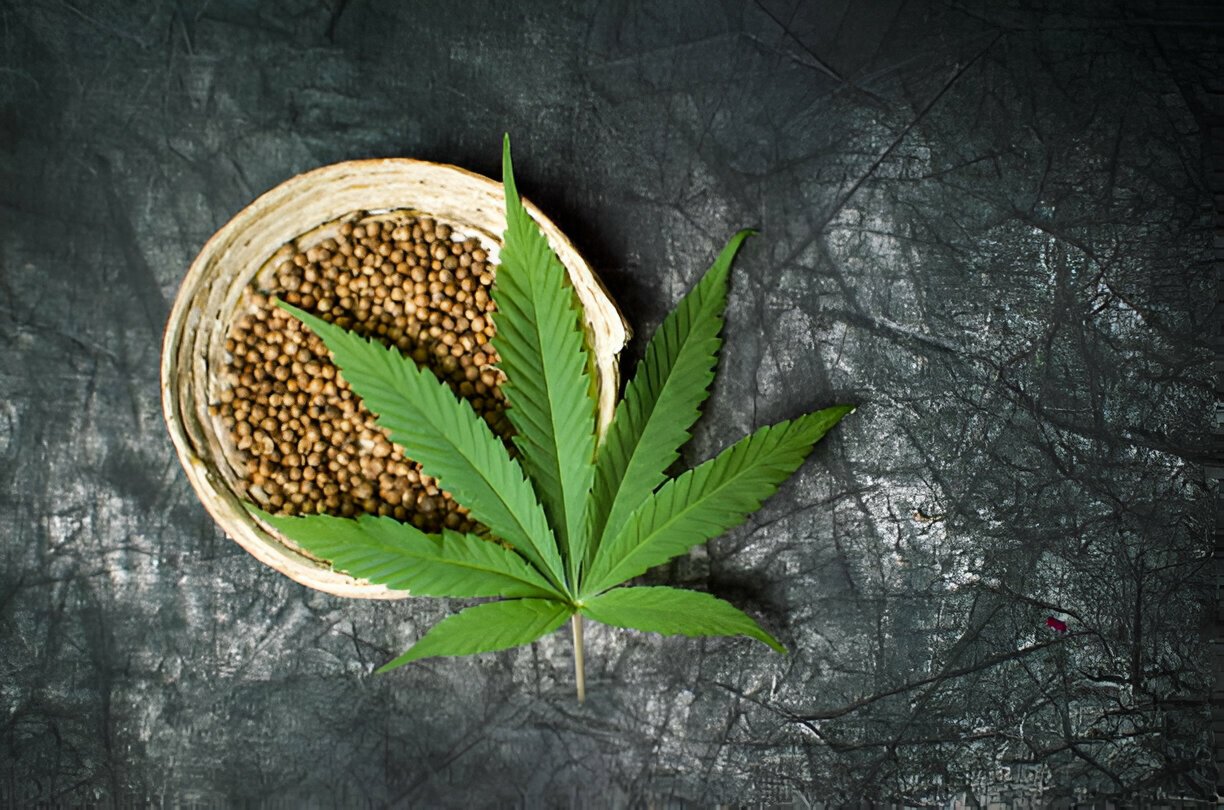 buy cannabis seeds online