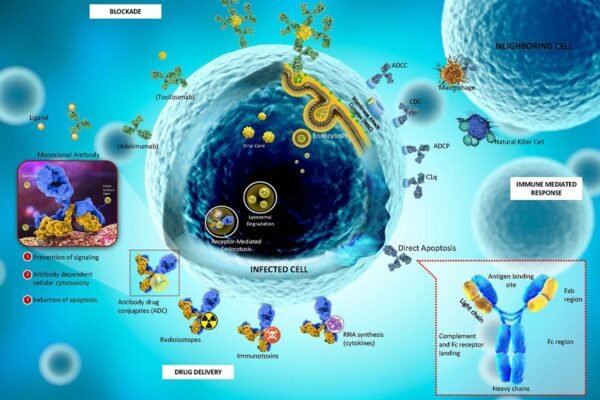 Antibody Drug Conjugates Market