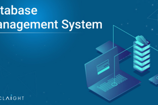 Database Management System (DBMS) Market