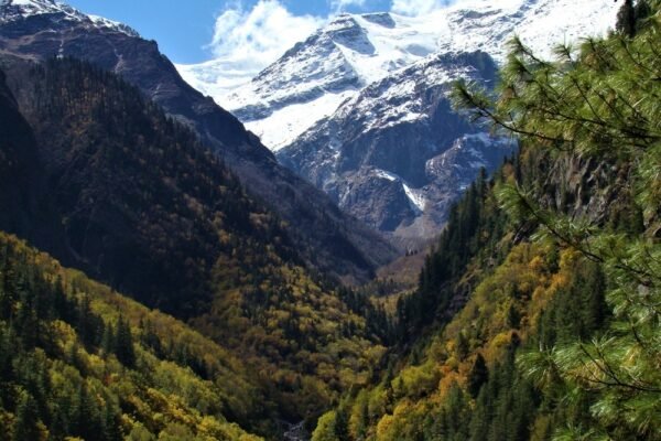 gaumukh glacier trek