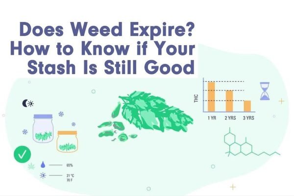 How To Know If Weed Is Expired?