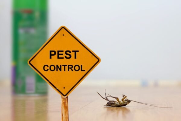 Pest Control in Newcastle