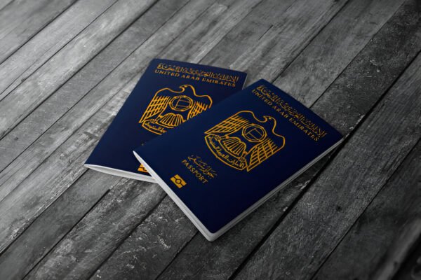 Dubai transit visa