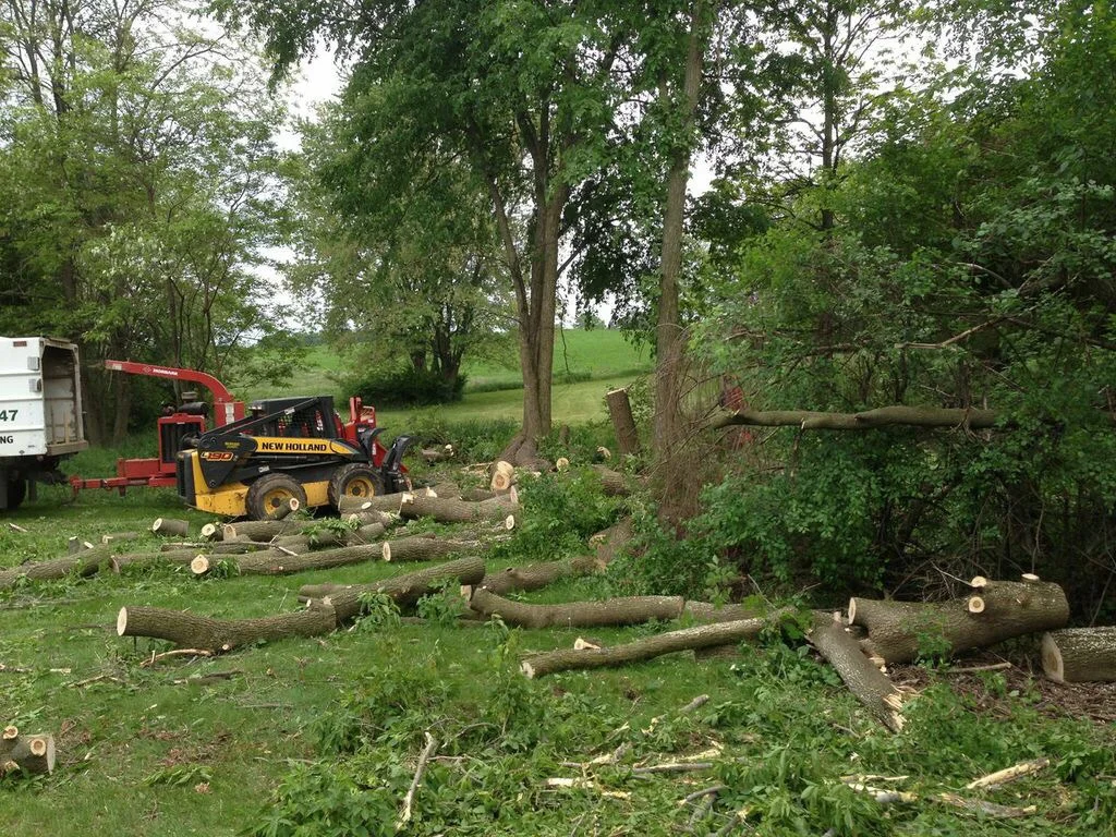 trimming, land clearing & brush New Hampshire