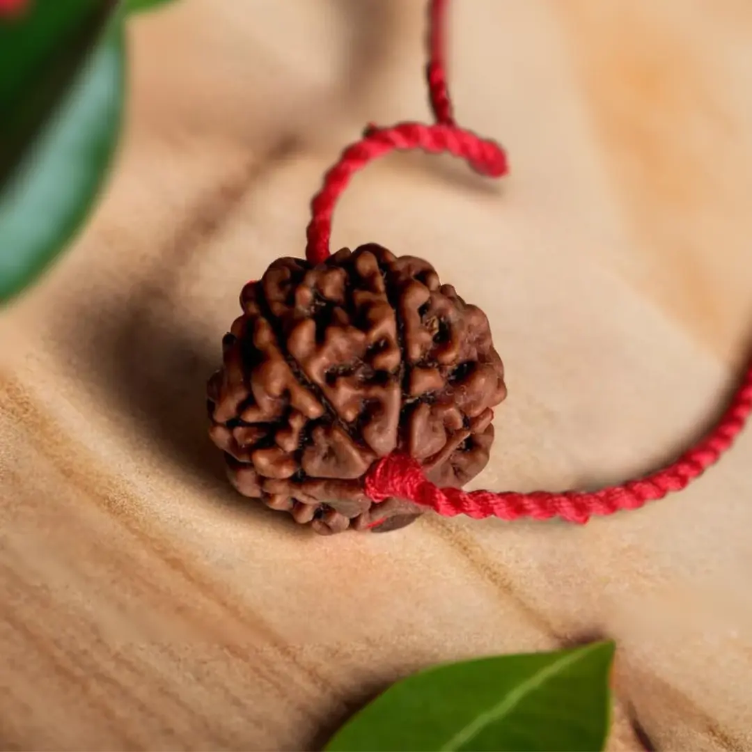 How to Choose and Care for Your 6 Muhi Rudraksha Beads