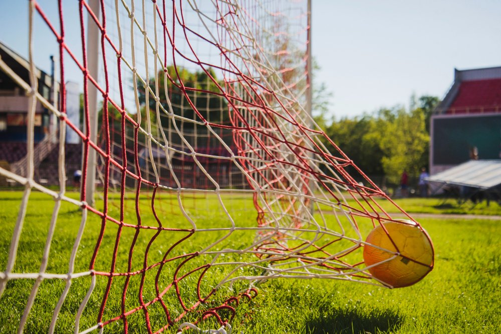 Baseball Nets