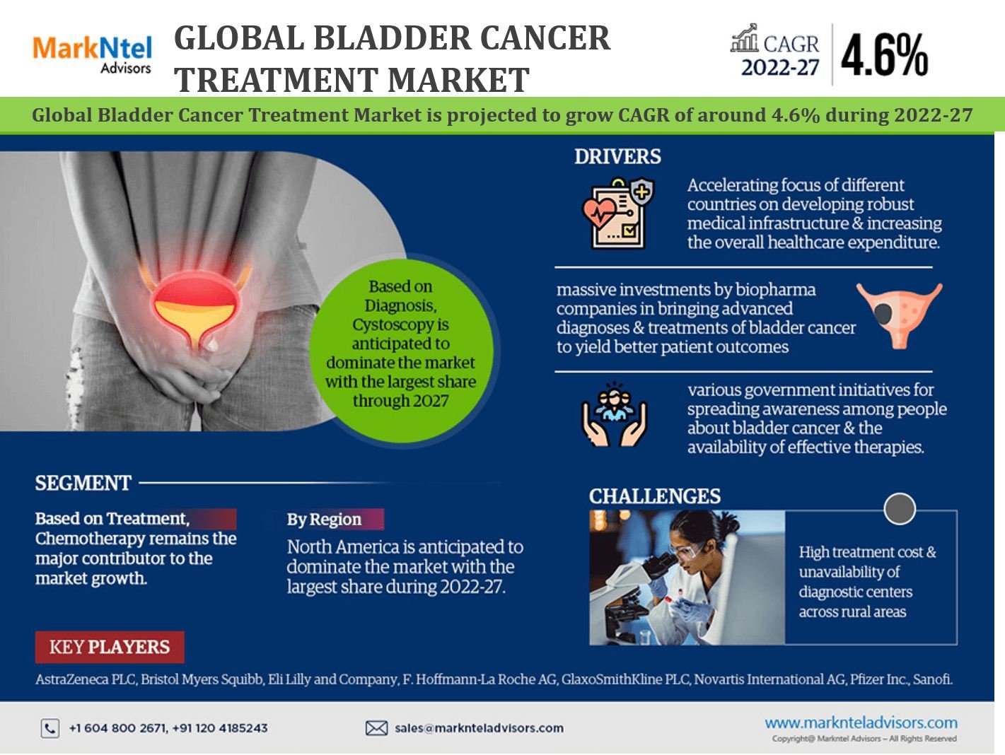 Bladder Cancer Treatment Market