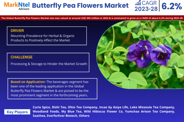 Butterfly Pea Flowers Market