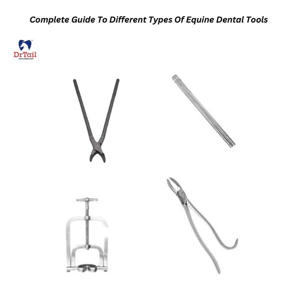 equine dental tools